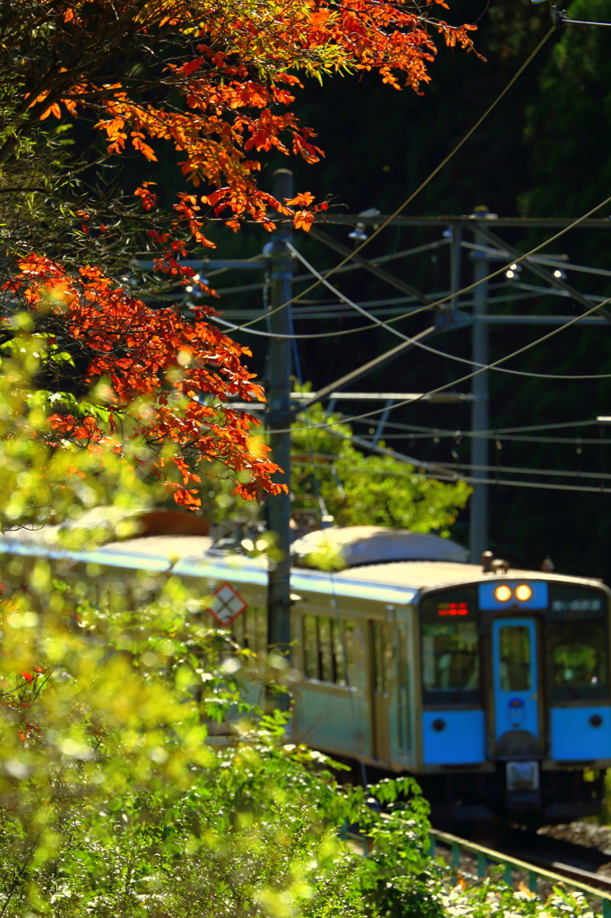 色づき始めの・・・