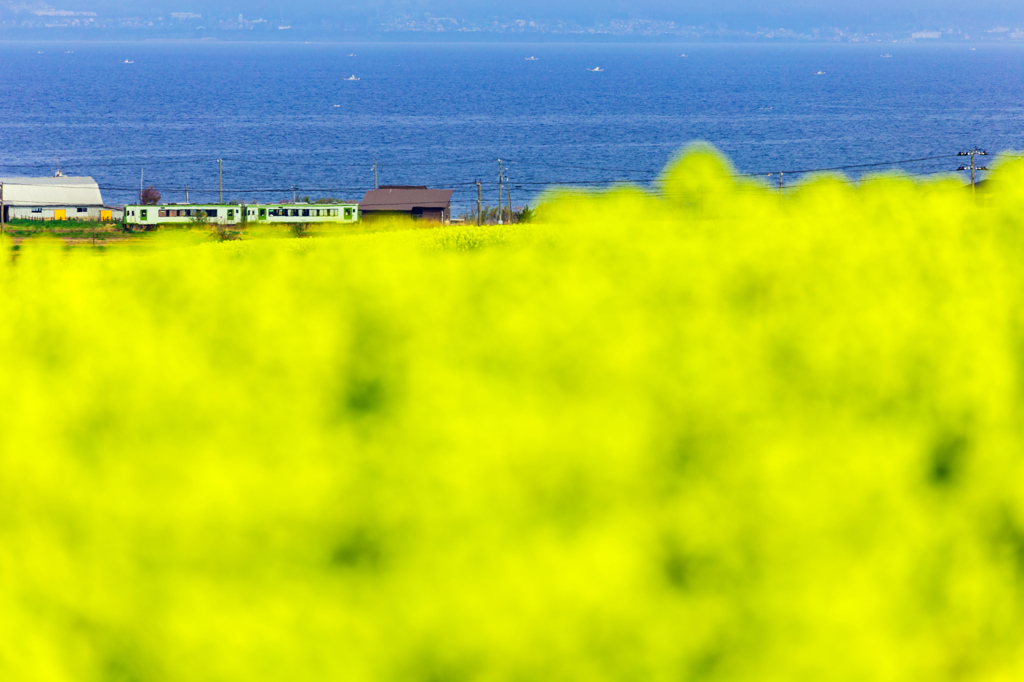 Yellow World III