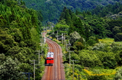 強い日差しの中を・・・