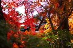 秋の弘前公園 14