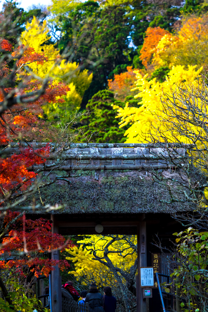 色鮮やかな山門