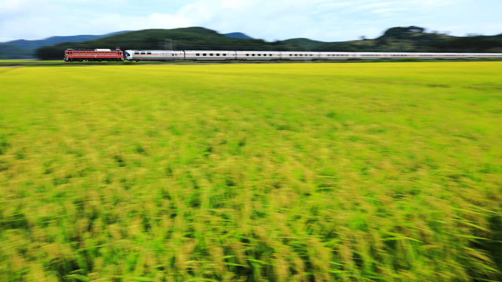 実りの秋を駆け抜けて II