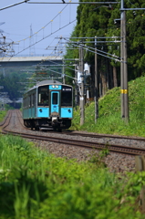 Spring Train XXI