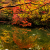 都会の紅葉 IV