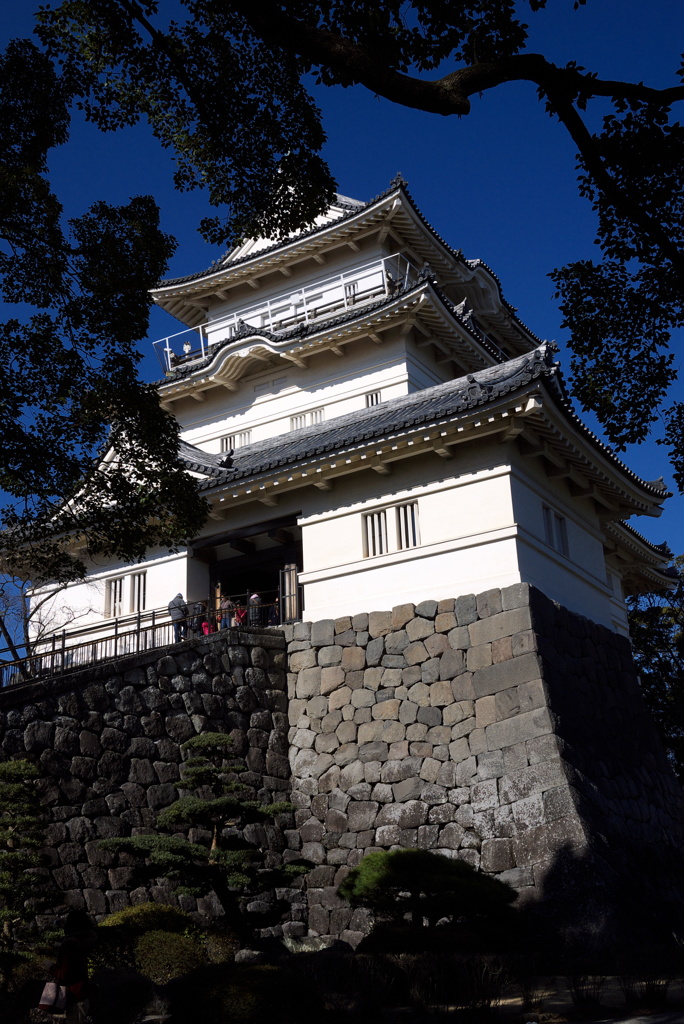 真冬の小田原城