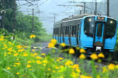 雨の青鉄 I