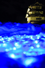弘前市・雪燈籠祭り