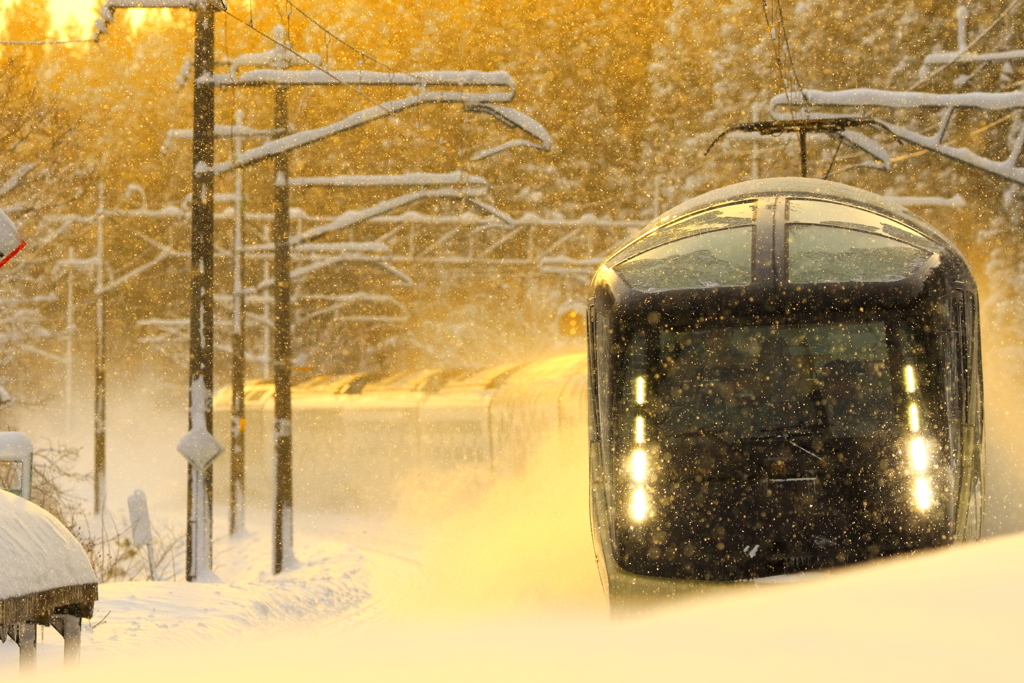 Golden Snow
