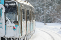 雪降るなか・・・ II