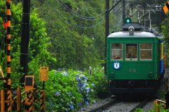 雨の箱根路 X