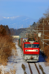 ジェットコースター気分