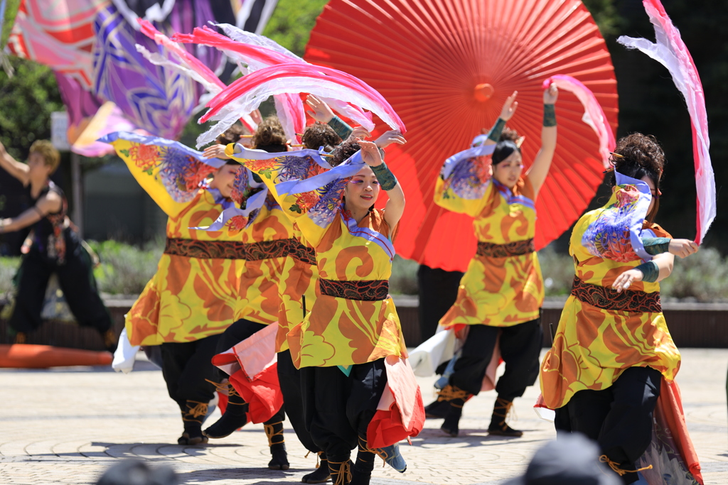 AOMORI春フェス2019 XVII