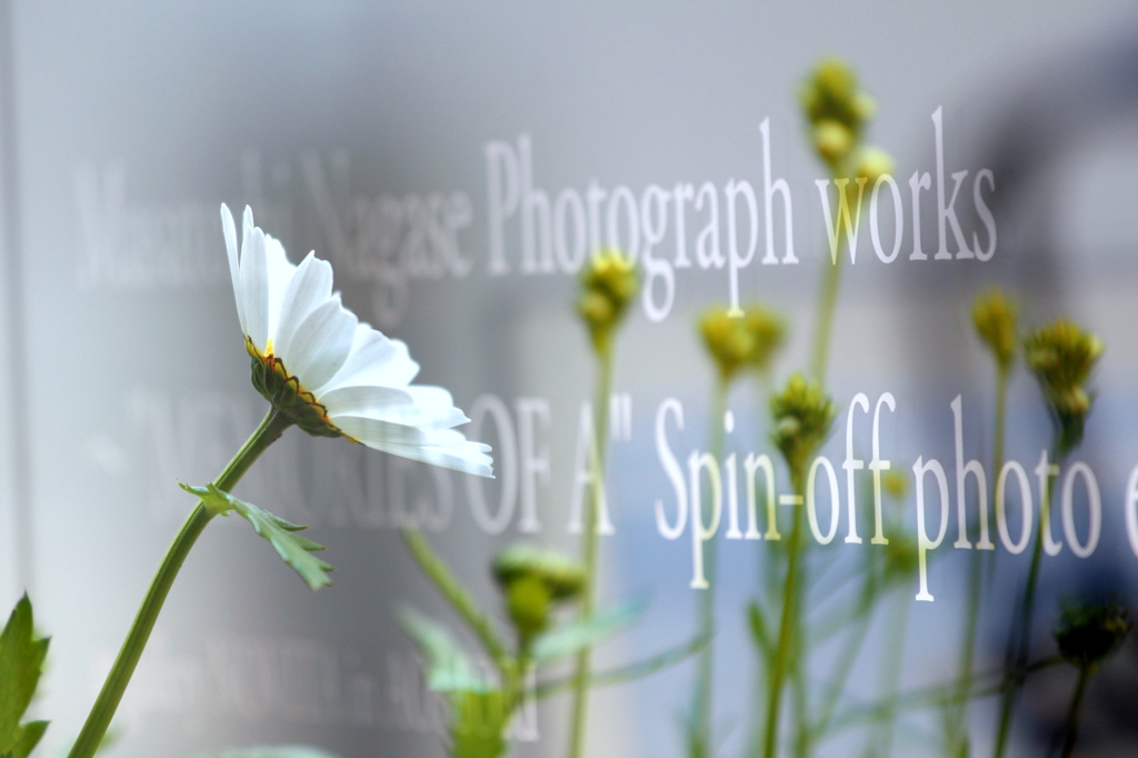 多重露光でお遊び