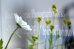 多重露光でお遊び