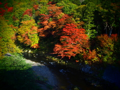 薬研渓流の秋 I
