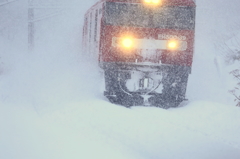 豪雪列車 VIII