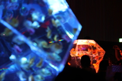 アートアクアリウム2012