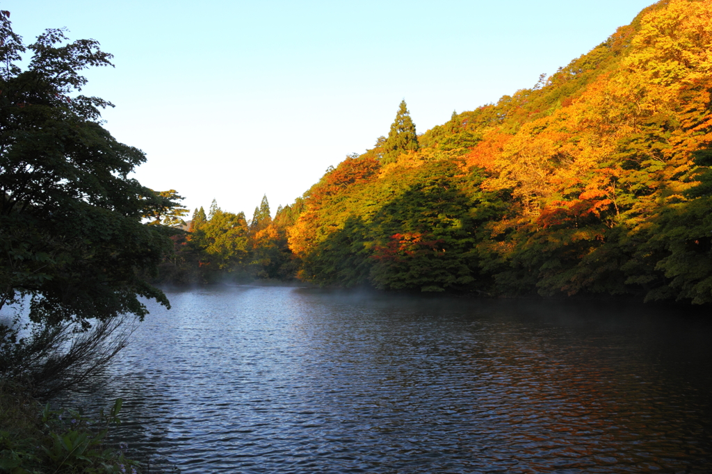 名無しの溜め池と紅葉
