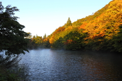 名無しの溜め池と紅葉 名無しの溜め池と紅葉