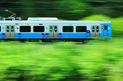 Spring Train XIII