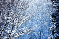 光る雪