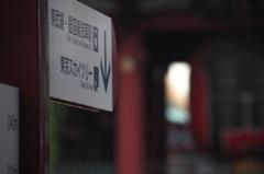 雨上がりの・・・