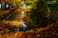 秋の弘前公園 11