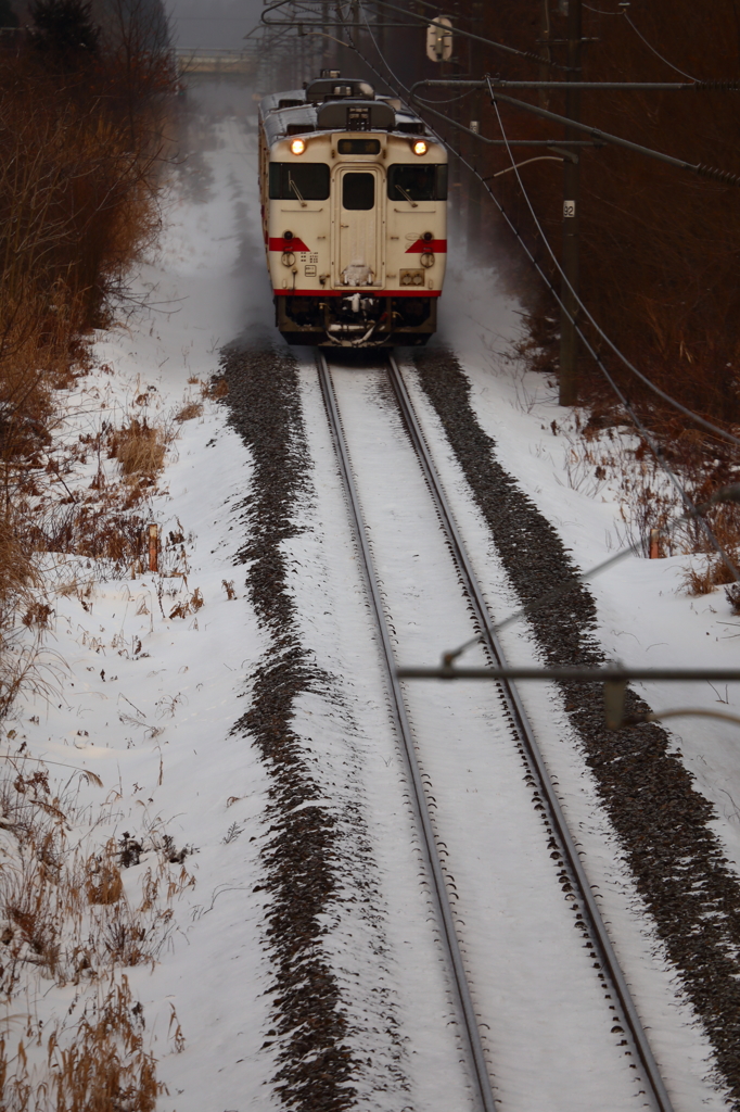 Snowfield Train IV
