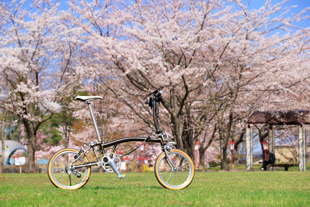 愛宕公園の春 02