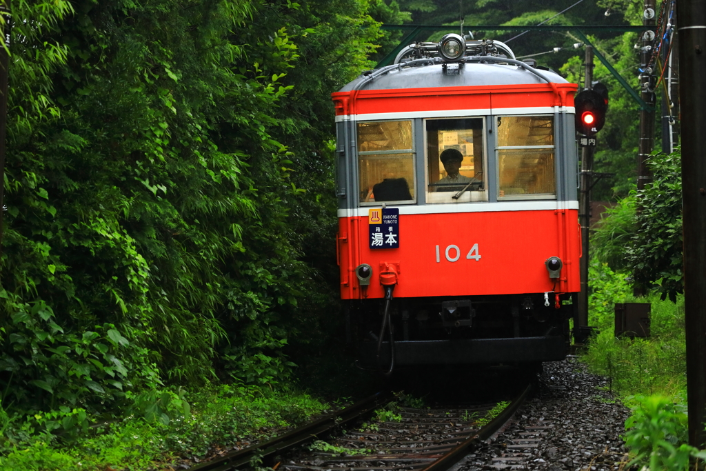 雨の箱根路 IX
