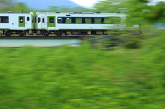 Spring Train XV