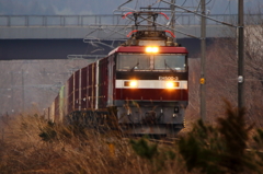 弱い朝日 I