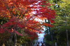 円覚寺の秋 02 円覚寺の秋 02