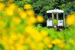 真夏の釜石線 I