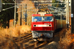晩秋のみちのく路 I