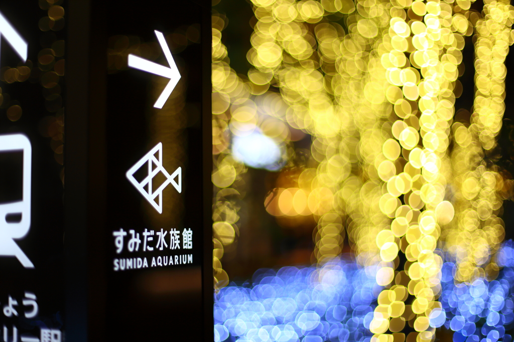 Soramachi's Illumination