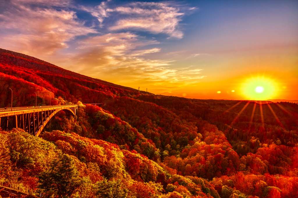 夕陽に煌めく紅葉