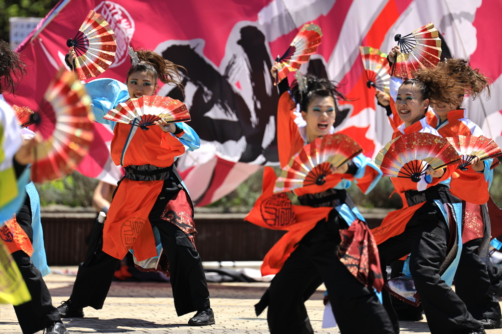 AOMORI春フェス2019 XXIII