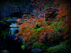 本番前の長谷寺 III