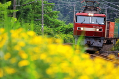 夏色列車 II