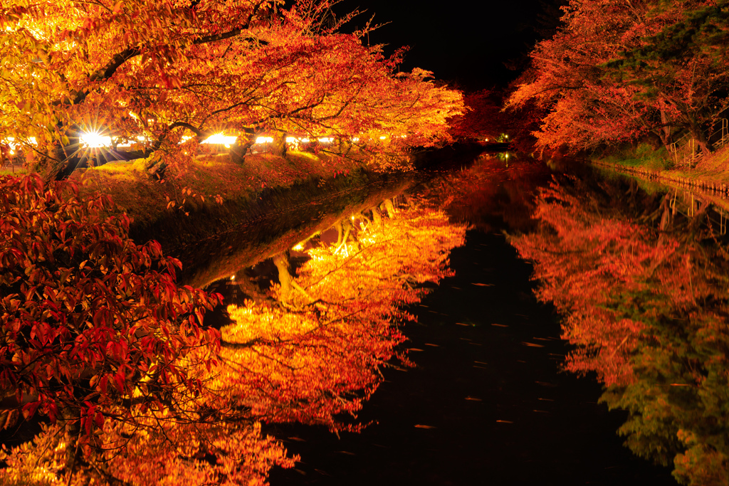 弘前公園の秋2022 VI