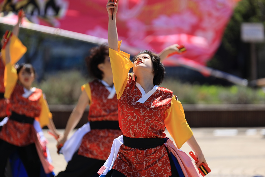 AOMORI春フェス2019 VII