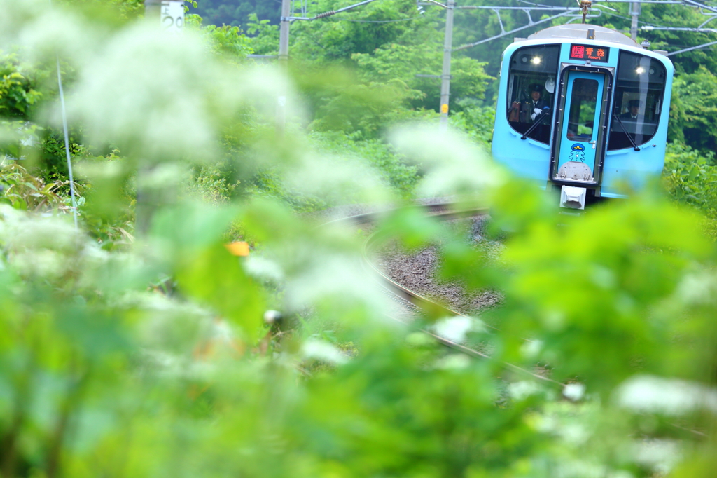 Rainy season train III