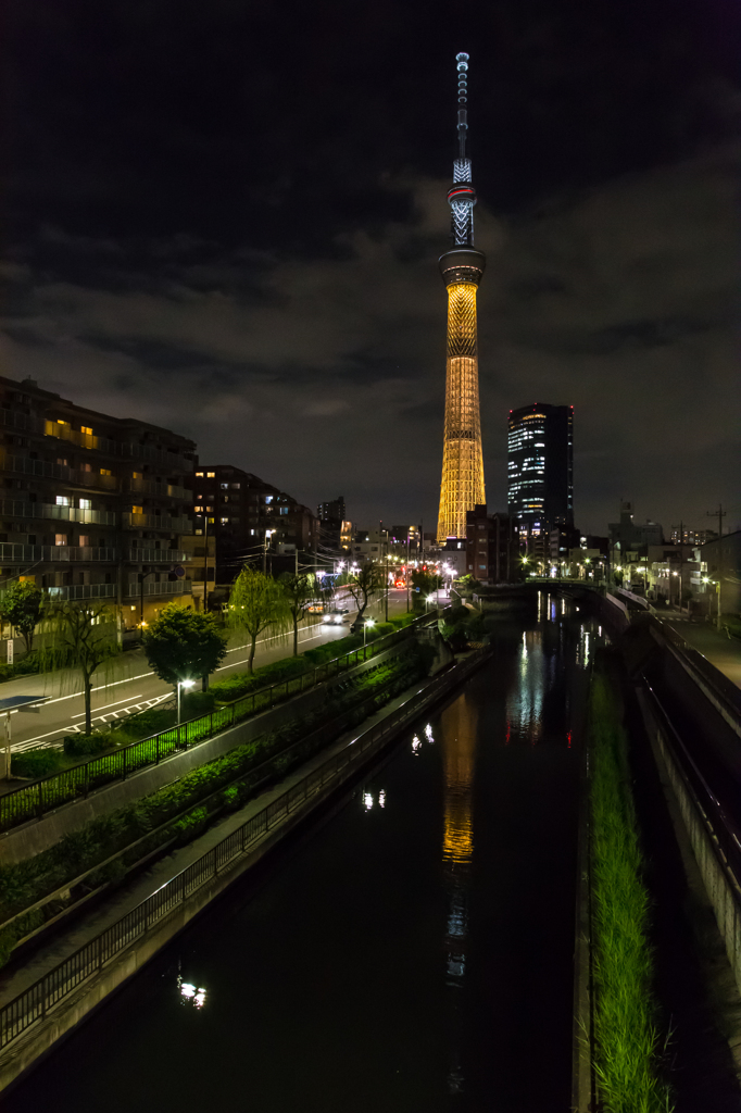 双子未満