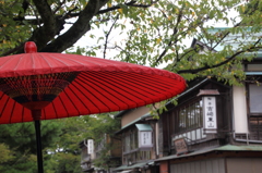 金沢・兼六園にて