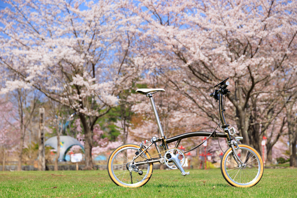 愛宕公園の春 03