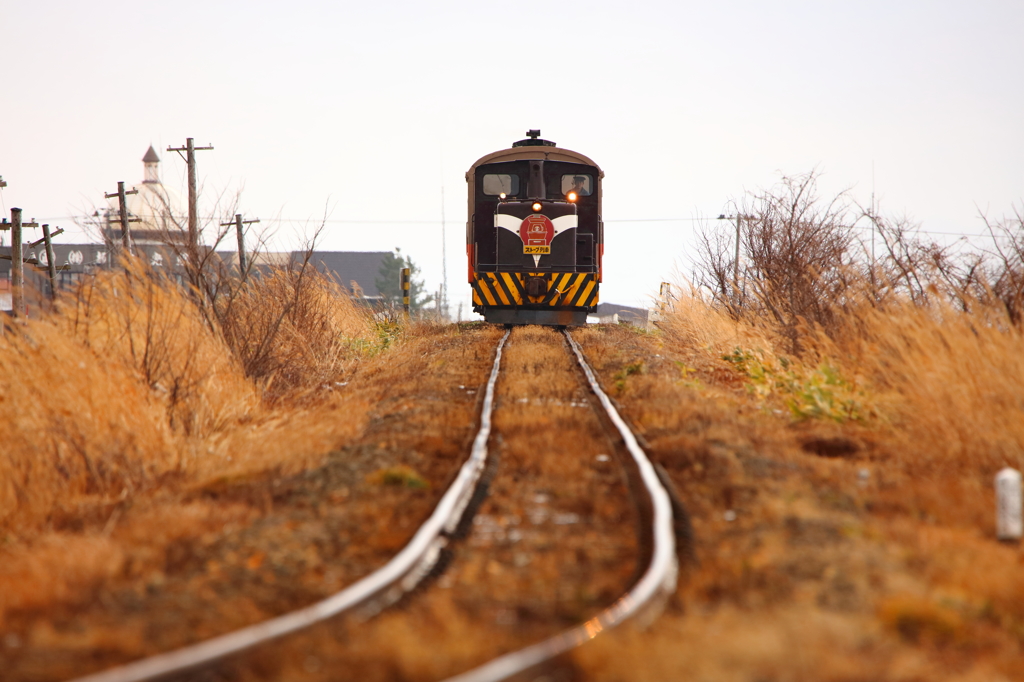 初冬の津軽鉄道 II