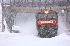 金太郎・大雪ver.