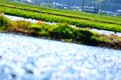 田園風景 I