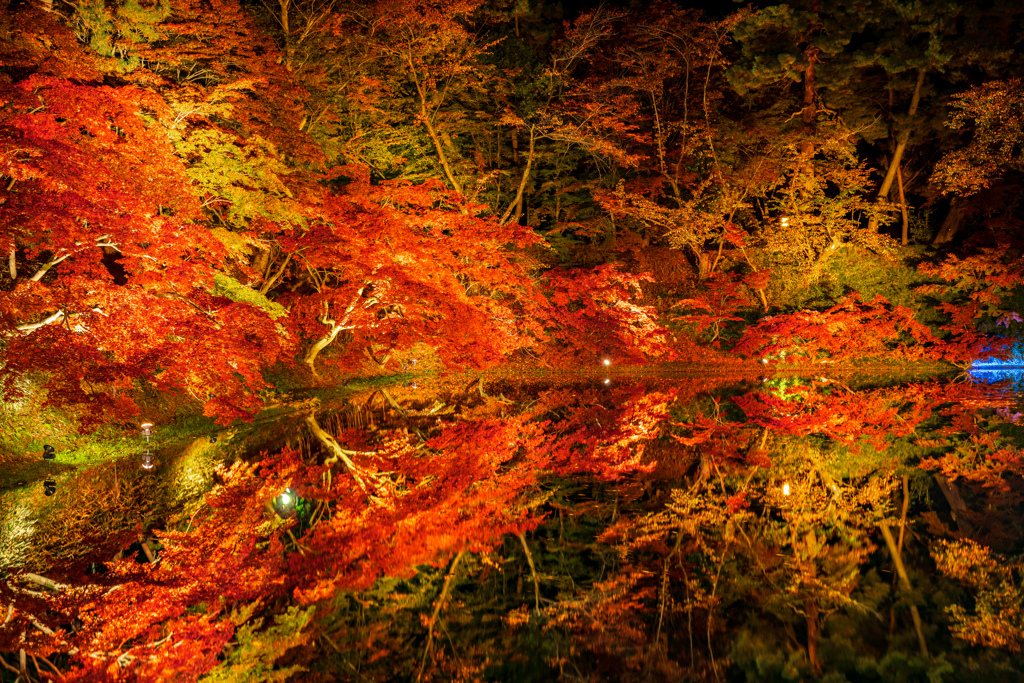 夜の水鏡